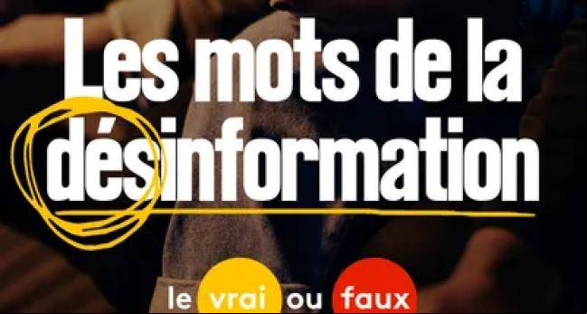 Les mots de la désinformation