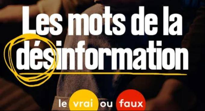 Les mots de la désinformation